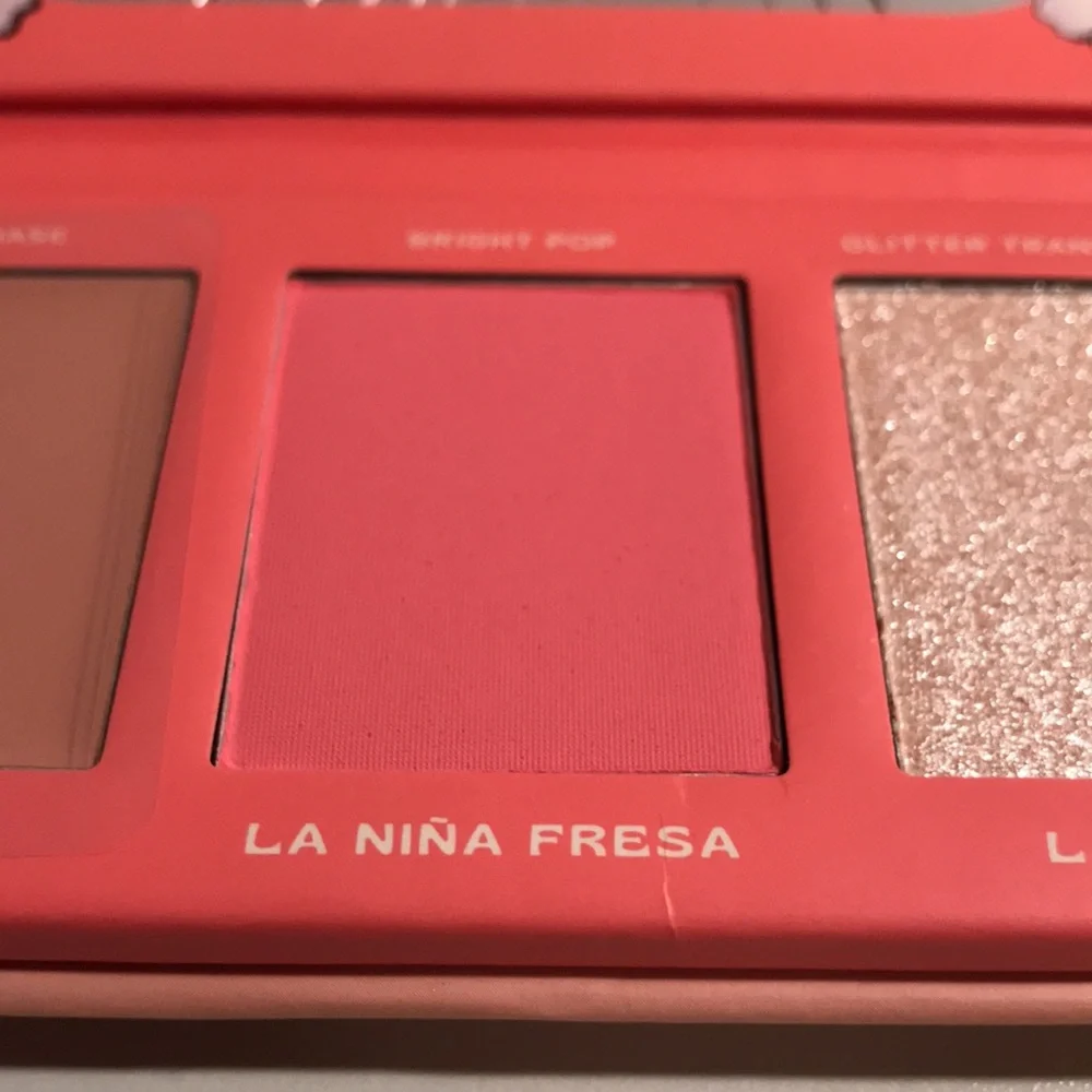Alamar Viva Las Cheekas Cheek Palette NEW (READ DESCRIPTION mirror cracked)